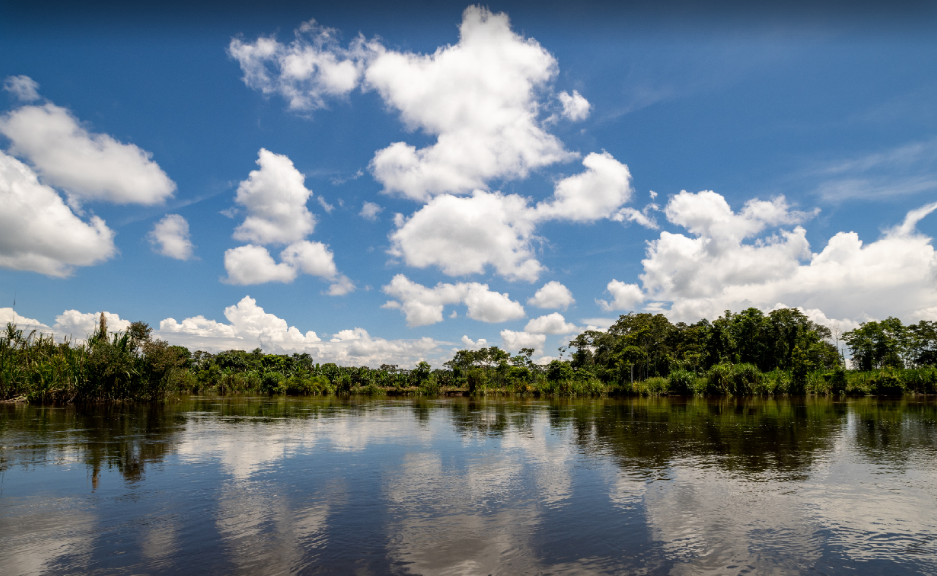 Navegando en la Amazonía peruana