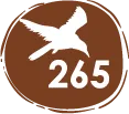especies aves – 