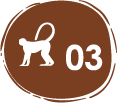 especies de primates endémicas – 