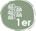 registro de la especie “Mocama o mucma” (Aetanthus nodosus), en San Martín – 