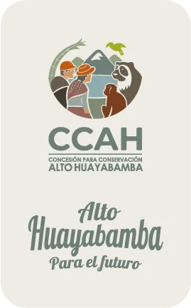 Logo Completo CCAH